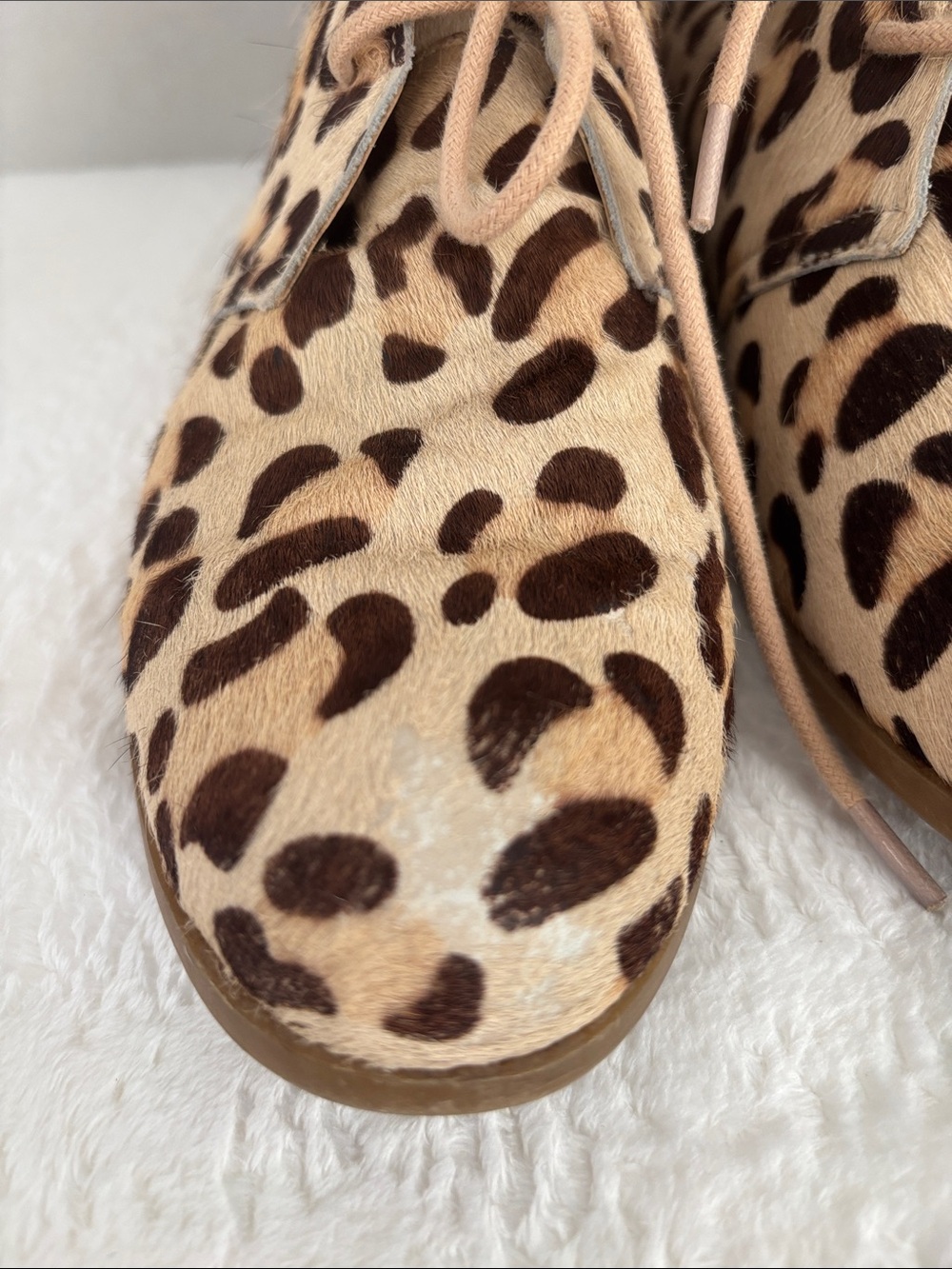 Steve Madden calf skin Leopard Print Lace-Up Ankle Boots - Beige/Brown - Picture 4 of 9